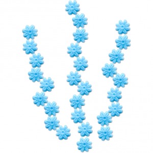 36358.jpg