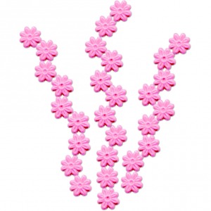 36357.jpg