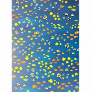 xartoni-50x70cm-kalokairina-psaria-tetragono-1.jpg