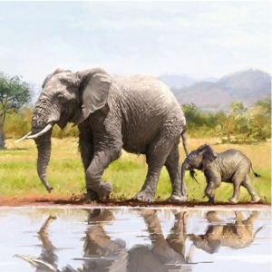Decoupage-Napkin-Elephant-13311575.jpg