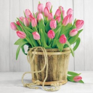 ubrousky-tulipany-v-kbeliku.jpg