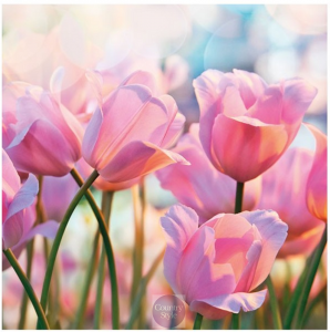 _vyr_10697_Papirove-ubrousky-decoupage-dekupaz-dekorace-vintage-bytove-tulipany-countrystyle-cz-3400141.png